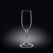 Wilmax WL-888027/6A champagnefluit, inhoud 230 ml, 6 stuks