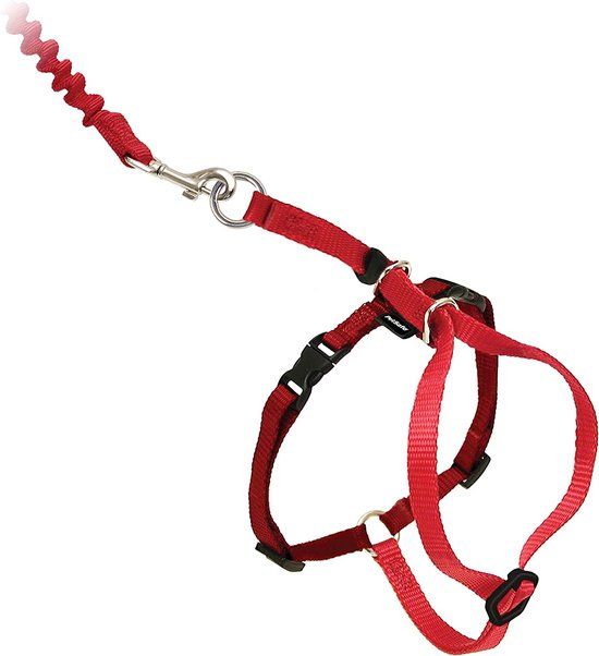 PetSafe Come With Me Kitty Harnas en Bungee Leash, Harnas voor katten, Medium, Rood/Cranberry