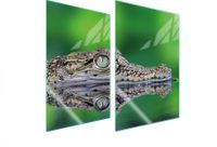TMK ArtDeko Plaque de protection en verre pour cuisine, 2x35x52 cm, texture crocodile