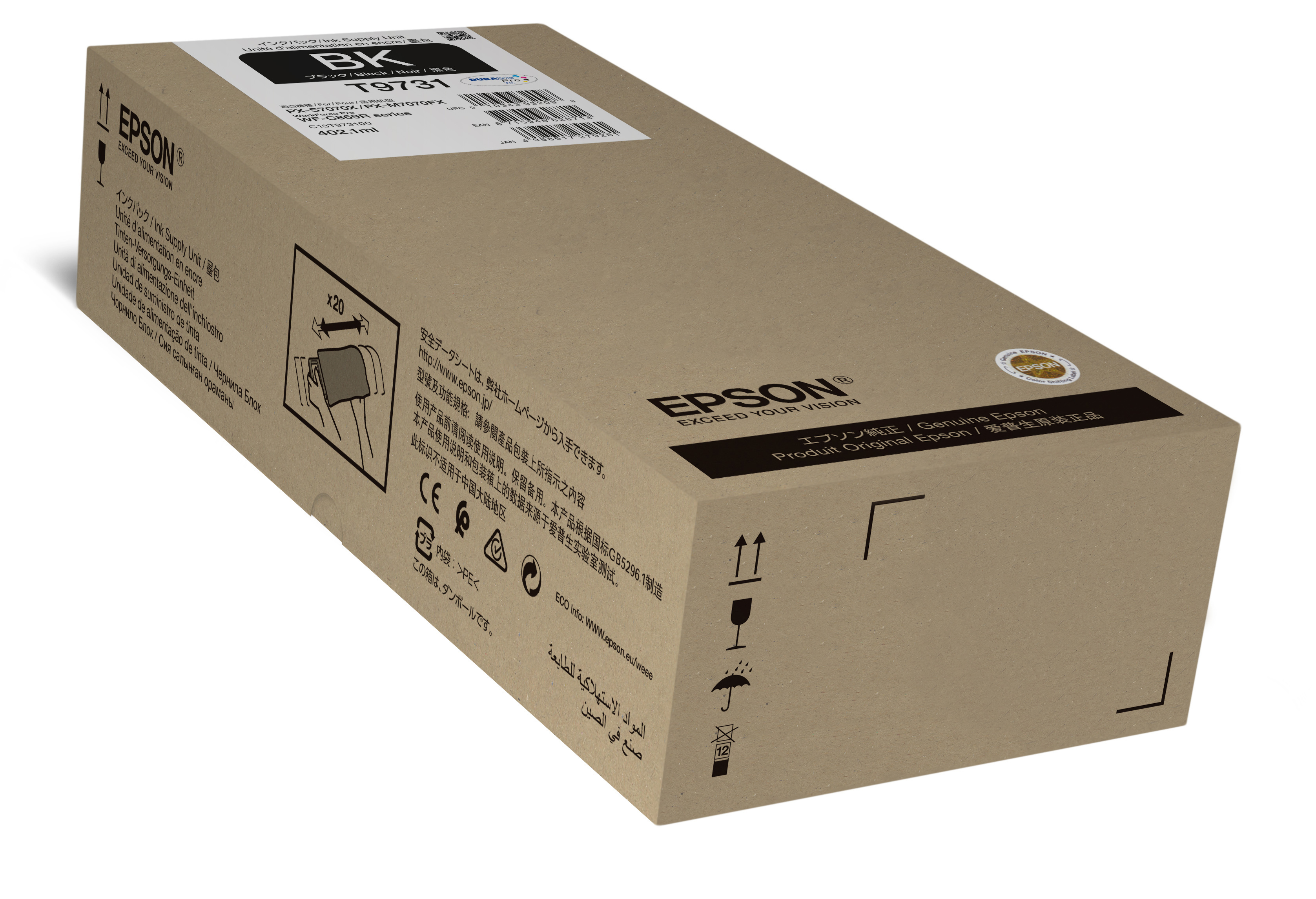 Epson Black XL Ink Supply Unit single pack / zwart