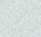 A.S. Création BETONLOOK BEHANG - Grijs - Industrieel behang - Concrete & More - 4051315373071