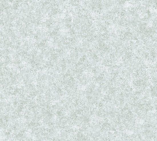 A.S. Création BETONLOOK BEHANG - Grijs - Industrieel behang - Concrete & More - 4051315373071