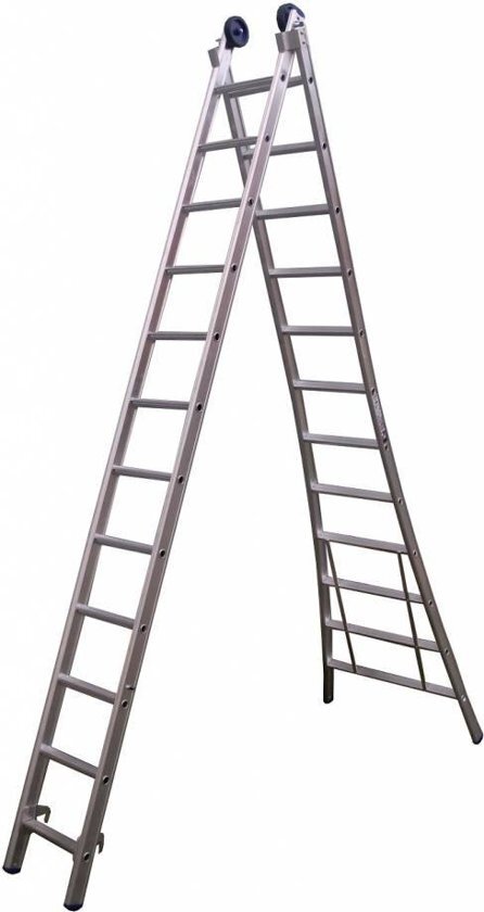 Maxall Reform Ladder 2x7