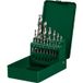 PARKSIDE® Set de forets ou fraises HSS