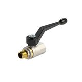RIEGLER 103246-337.03 kogelkraan met lange schroefdraad, IG/AG, MS vernikkeld, Rp/R 3/8
