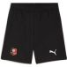 PUMA Sportbroek 'Stade Rennais FC 25/26' groen / rood / zwart / wit