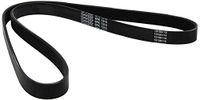 DAYCO 6PK1310 V-riem