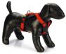 Beeztees Harnais pour chien Parinca Premium Y-Harnais - Harnais pour chien - Fermeture à clic - Avec verrou - Nylon - Rouge - 80-95cmx30mm