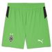 PUMA Borussia Mönchengladbach 25/26 short Heren Groen/Wit Maat M