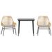VidaXL 3334471 Tuinset Licht Grijs