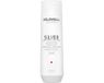 Goldwell Dualsenses Silver Shampoo 250 ml