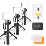 NEEWER Basics BP66 Led-videolichtpaneel, bureaulamp, videoconferentie-verlichtingsset met desktop statief/filters voor webcam, computer, zoom, make-up, selfies, streaming, tweekleurig, dimbaar, 3