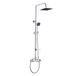 DP bath RY-S002+V002BEX overhead doucheset met thermostaatkraan (uittrekbaar), zilver