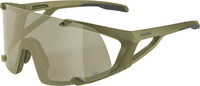 Alpina Hawkeye Q-Lite Glasses, olijf