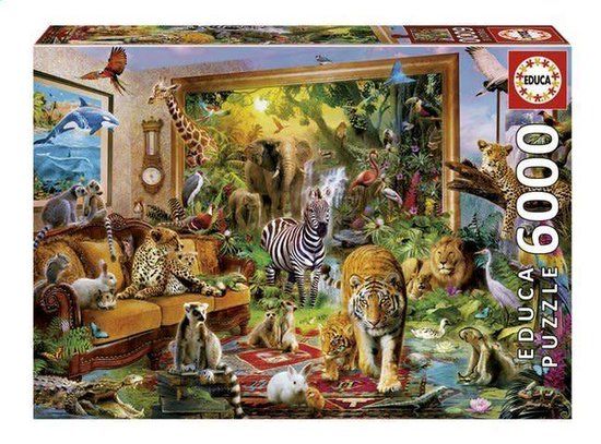 Educa Bij de Slaapkamer naar Binnen Legpuzzel - 1000 Stukjes