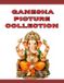 Ganesha Independently Published Ganesha Picture Collection: Ganpati Wall Art & Puja Collection