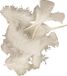 Creativ Company Plume, afm 7-8 cm, blanc, 500 gr