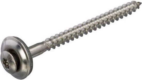 Homefix Afdichtschroef RVS A2 Torx TX20 4,5 x 60 mm - 12 stuks