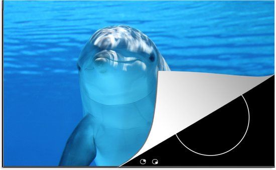 KitchenYeah® Inductie beschermer 77x51 cm - Dolfijn - Water - Blauw - Inductiebeschermer