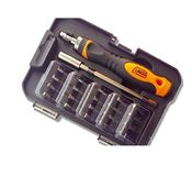 BIT-0022 Precisiepuntenset, chroom, vanadium, incl. handgreep, verlenging (115 mm) en 20 bits (4 x 28 mm)