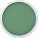 PanPastel Vert Permanent Nuance