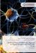 Artificial Neural Networks Applied to Digital Images with MATLAB Code: 2nd Edition