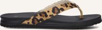 BLASZ Bella 2402 Slippers - Dames - Bruin - Maat 43