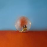 Il Alessia Cara - In The Meantime (2 LP)