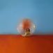 Il Alessia Cara - In The Meantime (2 LP)