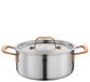Spring Gourmet, braadpan, meerlaagse kookpan met deksel van roestvrij staal, geschikt voor de oven, met schaalverdeling aan de binnenkant, Ø 20 cm, hoogte 9 cm, 2,7 liter, roségoud