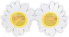 Boland Partybril Daisy - Volwassenen - Multi