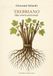 Trebbiano. Una storia universale