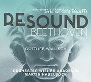 Outhere Gottlieb Wallisch, Orchester Wiener Akademie, Martin Haselböck - Re-Sound Beethoven, Vol. 6: Symphony 8 & Concerto For Piano After The Violin Concerto (CD)