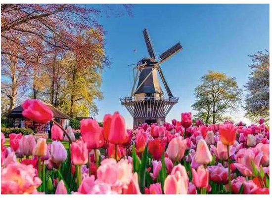 Top1Toys Ravensburger Puzzel Keukenhof Nederland 1000 stukjes Legpuzzel