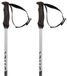 Volkl Phantastick 18mm bâtons Argent 125 cm