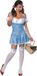 Robijnen Rubies Wizard of Oz Secret Wishes Dorothy Costume Adult XS