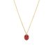 Lucardi - Dames Stalen goldplated ketting vintage bloem ent rood