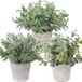 Unyqoos® Set – 3 réalistes plantes artificielles dans des pots en ciment