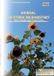 Journal BoD - Books on Demand Journal of Ethnic Microhistory Paperback