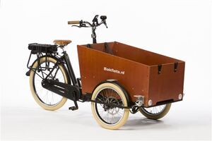 Bakfiets.nl CargoTrike Cruiser Wide Steps - Zwart - 2022
