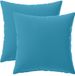 vidaXL Kussensloop 2 stuks HEERLEN Lichtblauw 30 x 30 cm Polyester