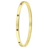 Lucardi Dames Goldplated armband bangle geboortestenen - Staal - Armband - Cadeau - Stijlvol - Goudkleurig