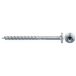 fischer - PowerFast FPF II WT25P frameschroeven 5,0 x 100 verzinkte coating, gedeeltelijke schroefdraad, schijfkop met Torx-afdruk T25 / doos van 100 stuks
