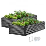 VEVOR Verhoogd tuinbed, Metaal, Set van 2, 203x102x46 cm