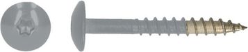 pgb-Europe PGB-FASTENERS HPL schroef Tx20 4,8x38 R7040 A4