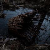 Bertus Distributie Sùrtum LP