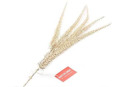 Nataluna M.XE Tak champagnebladeren 98 cm 36088, uniek
