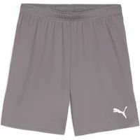 Puma Korte Puma TeamGloal Grijs Polyester Volwassenen Lente/Zomer 2024