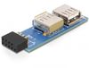 DeLOCK 9-pin 2.54 mm/2 x USB 2.0
