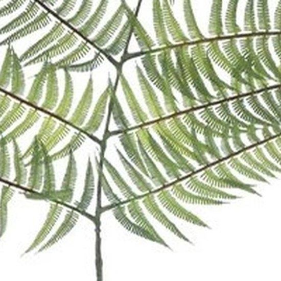 Erutan avon - Fern branche lt green 145 cm